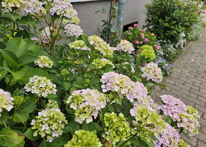 Monarchenhuegel In Seenaehe, Garten, Terrasse, Carport Mit Wallbox Lipsk
