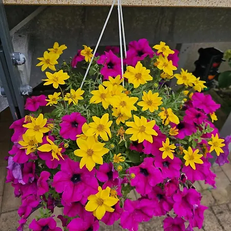 Monarchenhuegel In Seenaehe, Garten, Terrasse, Carport Mit Wallbox * Lipsia