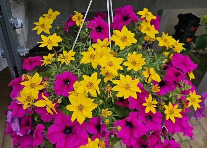 Monarchenhuegel In Seenaehe, Garten, Terrasse, Carport Mit Wallbox * Leipzig